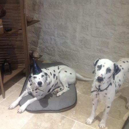 Le Sang Des Vignes Bed and Breakfast Monbazillac Buitenkant foto