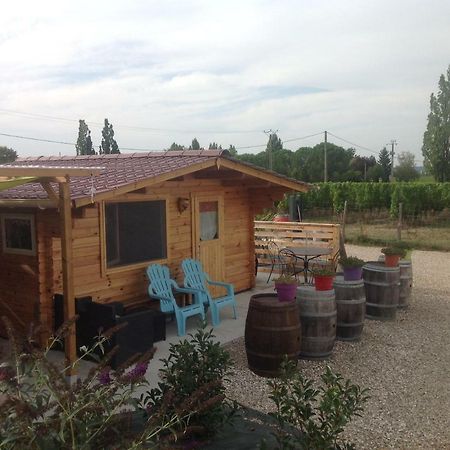 Le Sang Des Vignes Bed and Breakfast Monbazillac Buitenkant foto