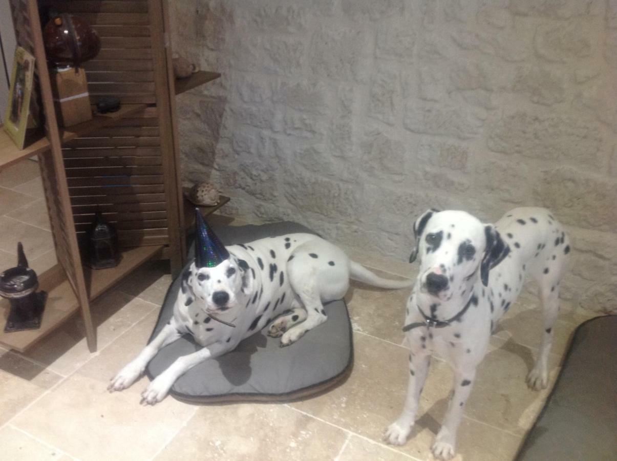 Le Sang Des Vignes Bed and Breakfast Monbazillac Buitenkant foto
